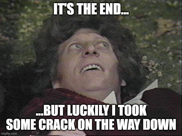 It's the end... | IT'S THE END... ...BUT LUCKILY I TOOK SOME CRACK ON THE WAY DOWN | image tagged in doctor who | made w/ Imgflip meme maker