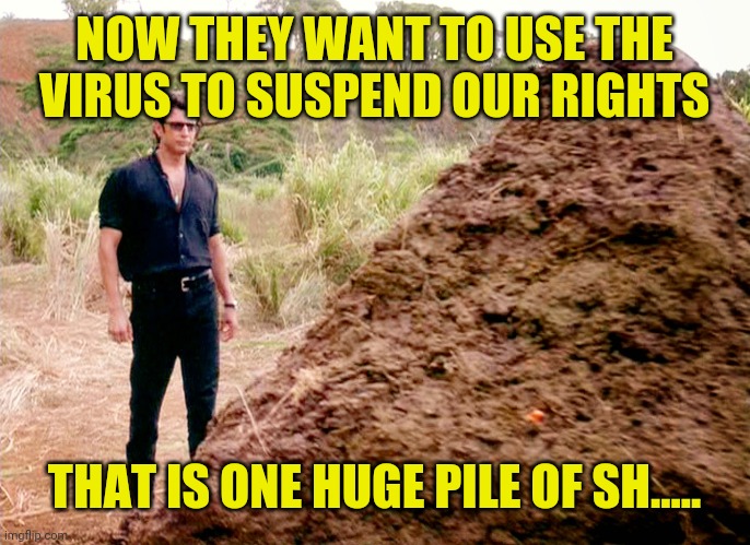 Screw the deep state... | NOW THEY WANT TO USE THE VIRUS TO SUSPEND OUR RIGHTS; THAT IS ONE HUGE PILE OF SH..... | image tagged in memes poop jurassic park | made w/ Imgflip meme maker