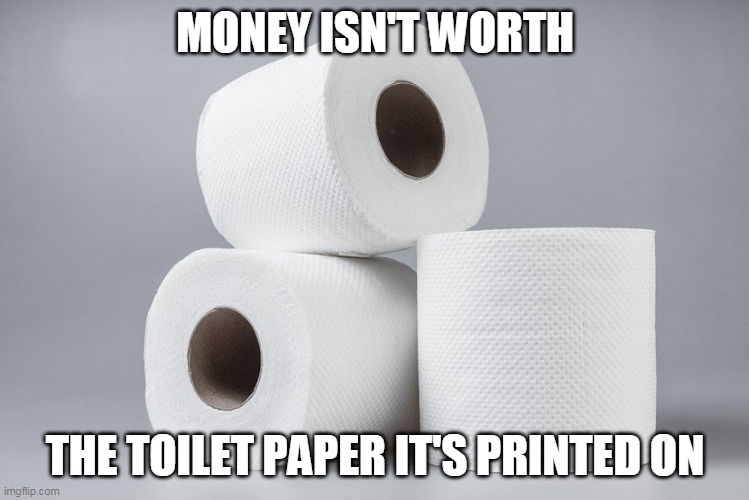 TP Gone Wild | MONEY ISN'T WORTH; THE TOILET PAPER IT'S PRINTED ON | image tagged in covid-19,toilet paper,puns | made w/ Imgflip meme maker