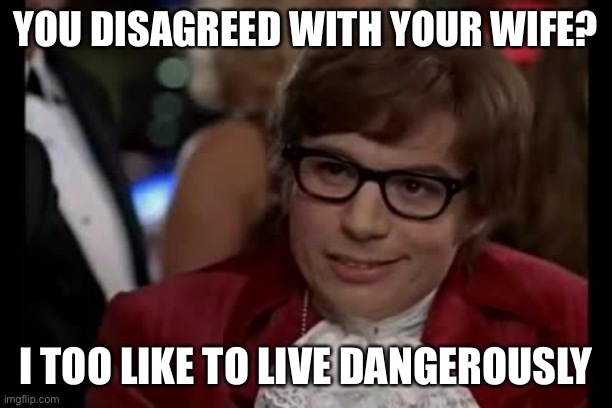 Austin Powers | YOU DISAGREED WITH YOUR WIFE? I TOO LIKE TO LIVE DANGEROUSLY | image tagged in austin powers | made w/ Imgflip meme maker