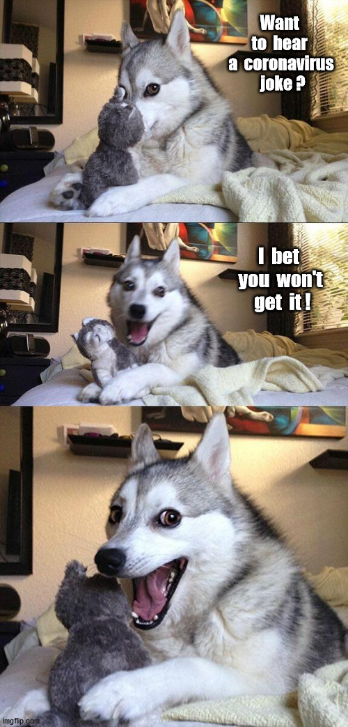 Another Bad Pun | Want  to  hear  a  coronavirus  joke ? I  bet  you  won't  get  it ! | image tagged in memes,bad pun dog | made w/ Imgflip meme maker