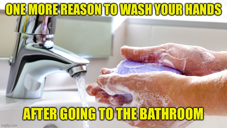 Washing Hands | ONE MORE REASON TO WASH YOUR HANDS AFTER GOING TO THE BATHROOM | image tagged in washing hands | made w/ Imgflip meme maker