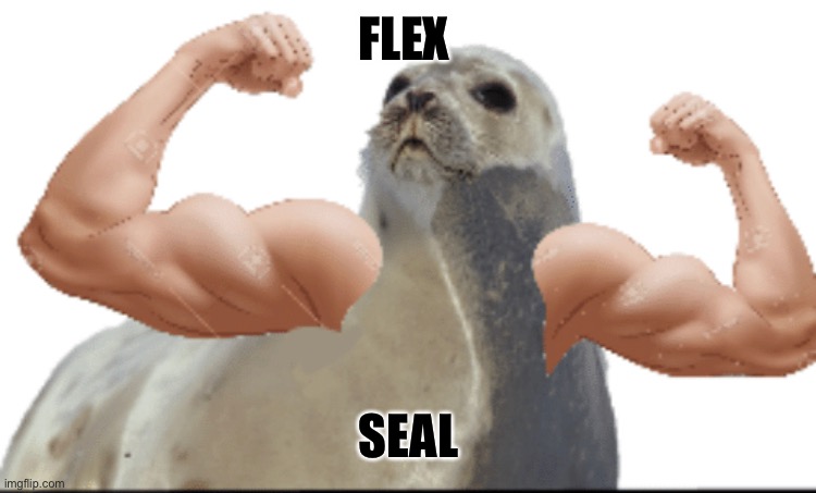 FLEX; SEAL | image tagged in seal,flex seal,funny,lol,imgflip | made w/ Imgflip meme maker
