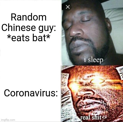 Sleeping Shaq Meme | Random Chinese guy: *eats bat*; Coronavirus: | image tagged in memes,sleeping shaq | made w/ Imgflip meme maker