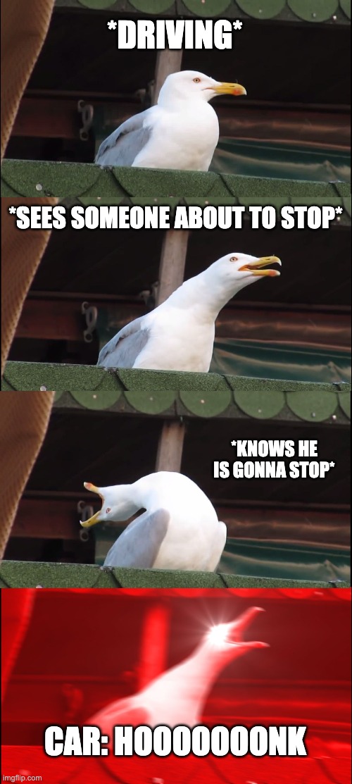 Inhaling Seagull | *DRIVING*; *SEES SOMEONE ABOUT TO STOP*; *KNOWS HE IS GONNA STOP*; CAR: HOOOOOOONK | image tagged in memes,inhaling seagull | made w/ Imgflip meme maker