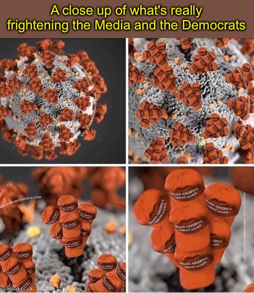 A close up of what's really frightening the Media and the Democrats | image tagged in maga | made w/ Imgflip meme maker