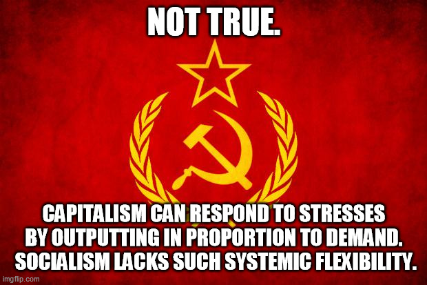 In Soviet Russia | NOT TRUE. CAPITALISM CAN RESPOND TO STRESSES BY OUTPUTTING IN PROPORTION TO DEMAND.  SOCIALISM LACKS SUCH SYSTEMIC FLEXIBILITY. | image tagged in in soviet russia | made w/ Imgflip meme maker