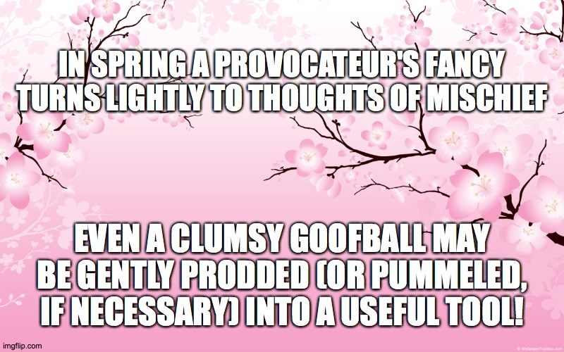 cherry blossom | IN SPRING A PROVOCATEUR'S FANCY TURNS LIGHTLY TO THOUGHTS OF MISCHIEF; EVEN A CLUMSY GOOFBALL MAY BE GENTLY PRODDED (OR PUMMELED, IF NECESSARY) INTO A USEFUL TOOL! | image tagged in cherry blossom | made w/ Imgflip meme maker