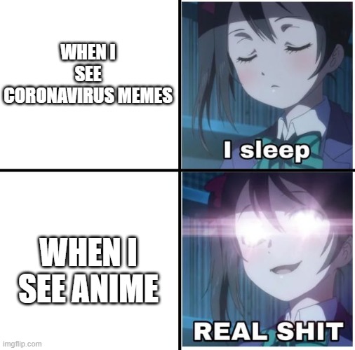 I sleep anime | WHEN I SEE CORONAVIRUS MEMES; WHEN I SEE ANIME | image tagged in i sleep anime | made w/ Imgflip meme maker