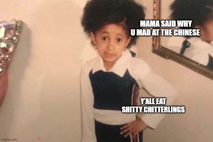 Young Cardi B Meme | MAMA SAID WHY U MAD AT THE CHINESE; Y'ALL EAT SHITTY CHITTERLINGS | image tagged in memes,young cardi b | made w/ Imgflip meme maker
