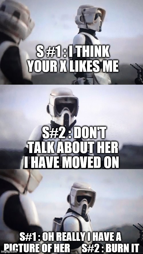 Storm Trooper Conversation | S #1 : I THINK YOUR X LIKES ME; S#2 : DON'T TALK ABOUT HER I HAVE MOVED ON; S#1 : OH REALLY I HAVE A  PICTURE OF HER      S#2 : BURN IT | image tagged in storm trooper conversation | made w/ Imgflip meme maker