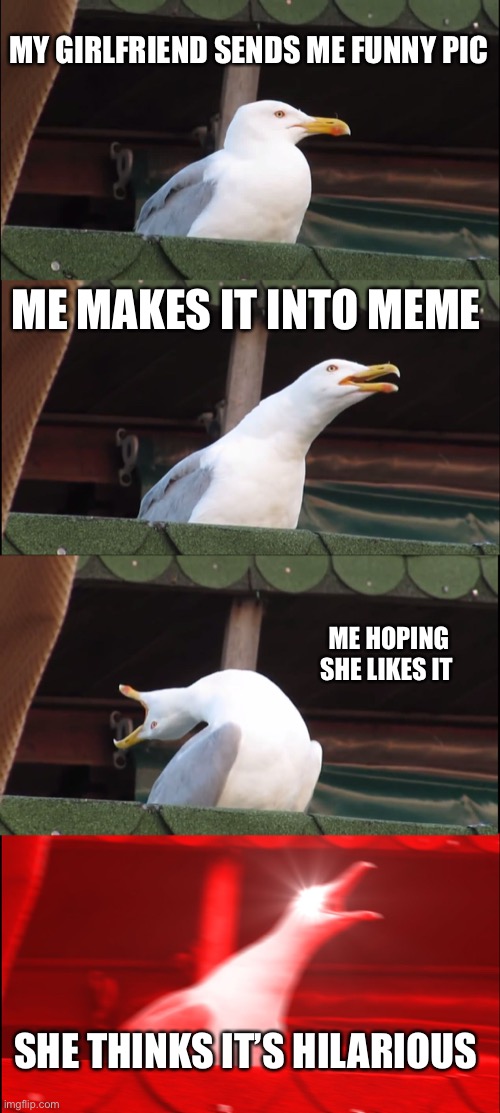 Inhaling Seagull Meme | MY GIRLFRIEND SENDS ME FUNNY PIC; ME MAKES IT INTO MEME; ME HOPING SHE LIKES IT; SHE THINKS IT’S HILARIOUS | image tagged in memes,inhaling seagull | made w/ Imgflip meme maker