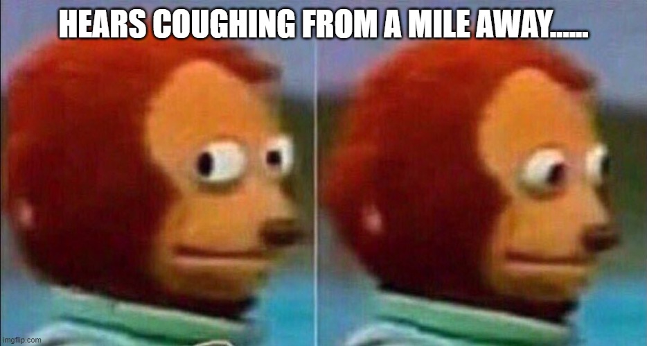 Monkey looking away | HEARS COUGHING FROM A MILE AWAY...... | image tagged in monkey looking away | made w/ Imgflip meme maker
