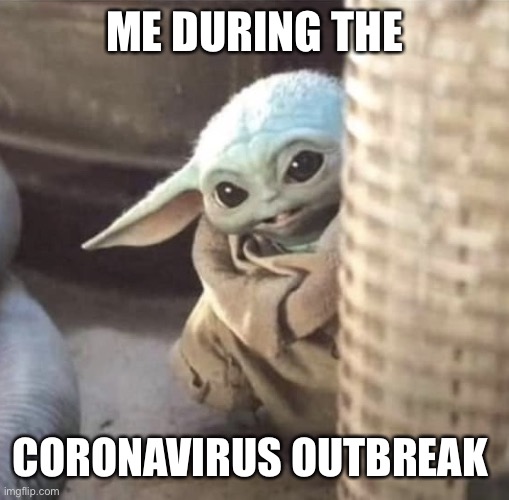 Hiding baby Yoda | ME DURING THE; CORONAVIRUS OUTBREAK | image tagged in hiding baby yoda | made w/ Imgflip meme maker