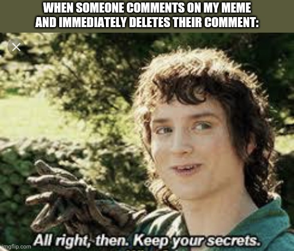 All Right Then, Keep Your Secrets | WHEN SOMEONE COMMENTS ON MY MEME AND IMMEDIATELY DELETES THEIR COMMENT: | image tagged in all right then keep your secrets | made w/ Imgflip meme maker