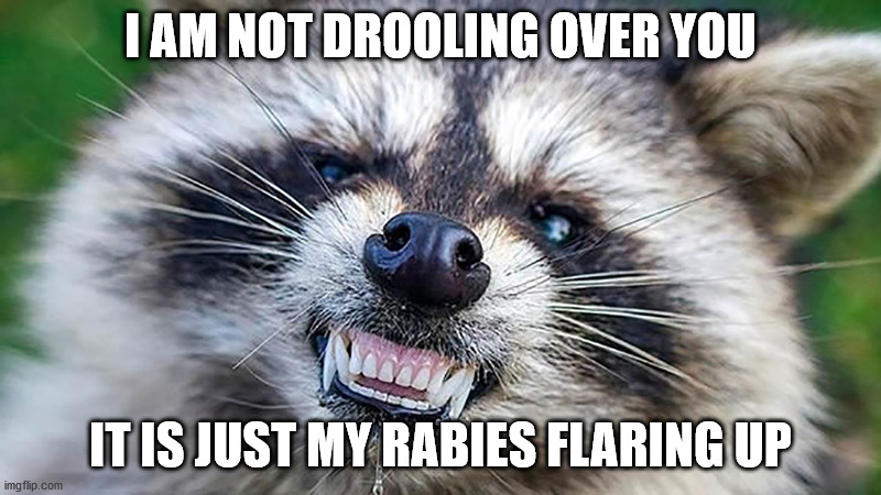 Rabies Flaring Up Again | I AM NOT DROOLING OVER YOU; IT IS JUST MY RABIES FLARING UP | image tagged in raccoon,rabies,funny memes | made w/ Imgflip meme maker