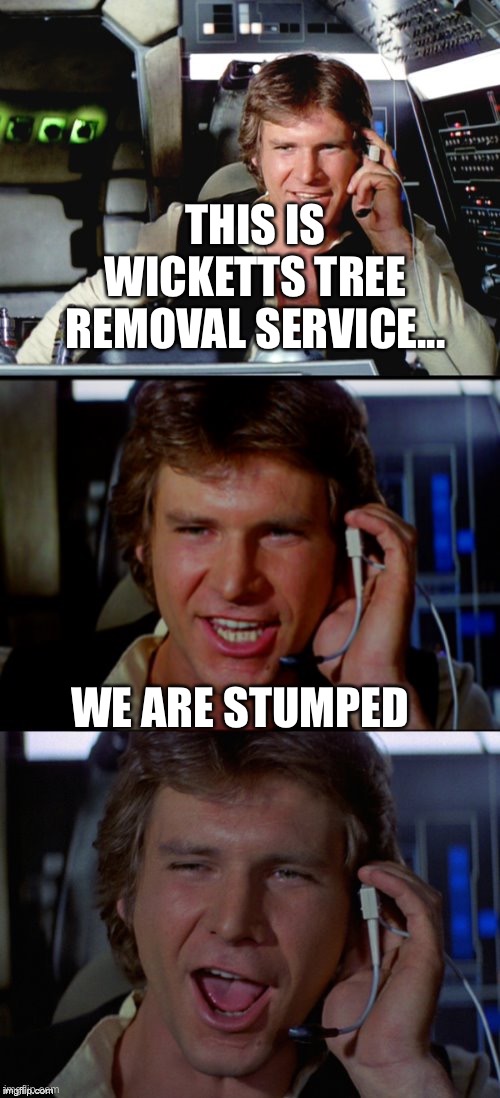 Bad Pun Han Solo | THIS IS WICKETTS TREE REMOVAL SERVICE... WE ARE STUMPED | image tagged in bad pun han solo | made w/ Imgflip meme maker