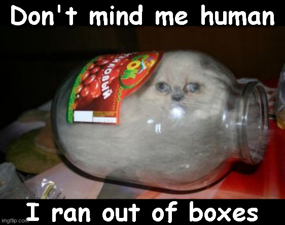 Jar Cat | Don't mind me human I ran out of boxes | image tagged in memes,cat,jar | made w/ Imgflip meme maker