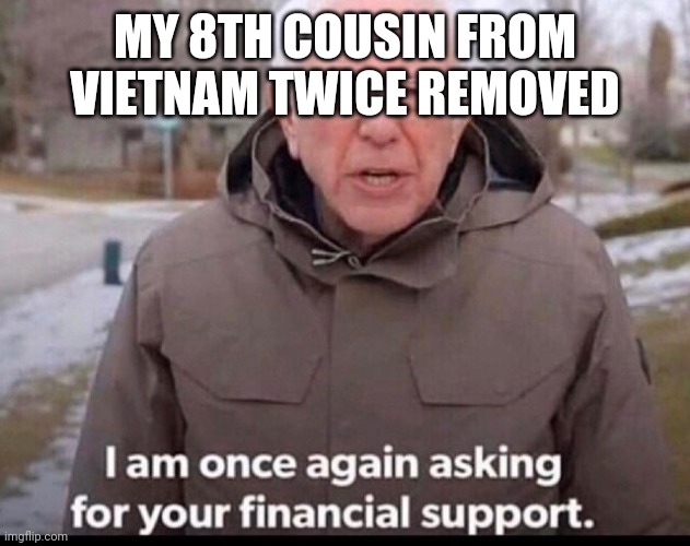 bernie sanders financial support | MY 8TH COUSIN FROM VIETNAM TWICE REMOVED | image tagged in bernie sanders financial support | made w/ Imgflip meme maker