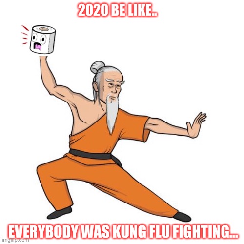 Effects of the Coronavirus Pandemic | 2020 BE LIKE.. EVERYBODY WAS KUNG FLU FIGHTING... | image tagged in coronavirus,toilet paper,chinese,kung fu,flu | made w/ Imgflip meme maker