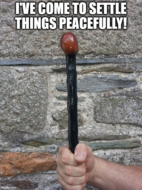 Blackthorn | I'VE COME TO SETTLE THINGS PEACEFULLY! | image tagged in shilelagh,irish,st patrick's day,blackthorn cane | made w/ Imgflip meme maker