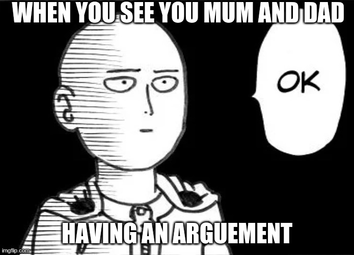 OK | WHEN YOU SEE YOU MUM AND DAD; HAVING AN ARGUEMENT | image tagged in funny,memes | made w/ Imgflip meme maker