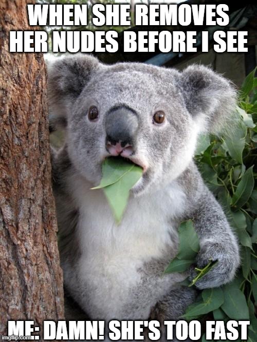 Surprised Koala | WHEN SHE REMOVES HER NUDES BEFORE I SEE; ME: DAMN! SHE'S TOO FAST | image tagged in memes,surprised koala | made w/ Imgflip meme maker