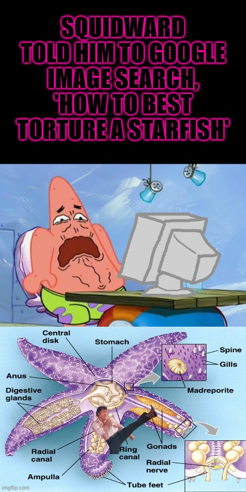 Patrick Star Internet Disgust | SQUIDWARD TOLD HIM TO GOOGLE IMAGE SEARCH, 'HOW TO BEST TORTURE A STARFISH' | image tagged in patrick star internet disgust | made w/ Imgflip meme maker