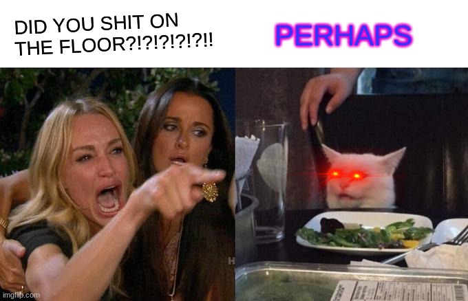 Woman Yelling At Cat Meme | DID YOU SHIT ON THE FLOOR?!?!?!?!?!! PERHAPS | image tagged in memes,woman yelling at cat | made w/ Imgflip meme maker