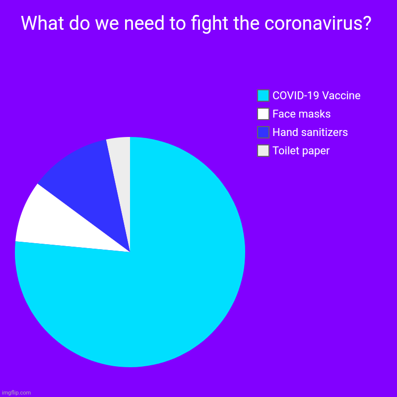 What do we need to fight the coronavirus? | What do we need to fight the coronavirus? | Toilet paper, Hand sanitizers, Face masks , COVID-19 Vaccine | image tagged in charts,pie charts | made w/ Imgflip chart maker