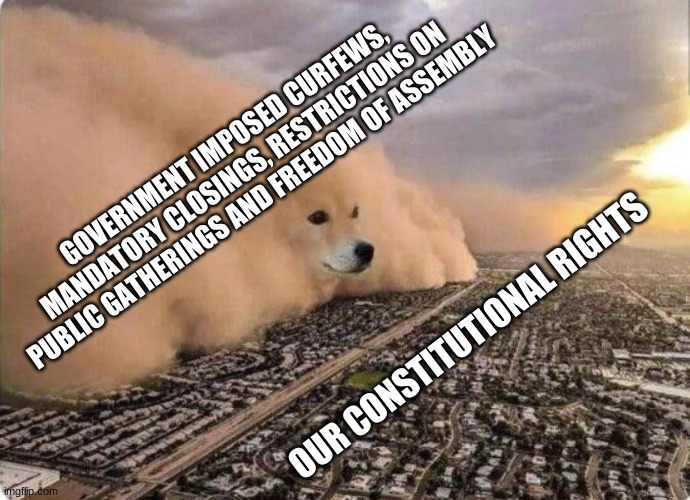 Doge Cloud | GOVERNMENT IMPOSED CURFEWS, MANDATORY CLOSINGS, RESTRICTIONS ON PUBLIC GATHERINGS AND FREEDOM OF ASSEMBLY; OUR CONSTITUTIONAL RIGHTS | image tagged in doge cloud,american freedoms,constitution,government control | made w/ Imgflip meme maker