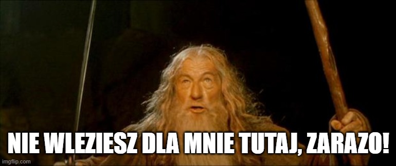 gandalf you shall not pass | NIE WLEZIESZ DLA MNIE TUTAJ, ZARAZO! | image tagged in gandalf you shall not pass | made w/ Imgflip meme maker