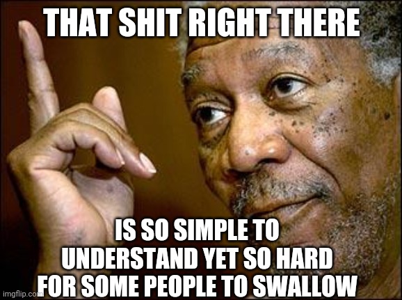 This Morgan Freeman | THAT SHIT RIGHT THERE IS SO SIMPLE TO UNDERSTAND YET SO HARD FOR SOME PEOPLE TO SWALLOW | image tagged in this morgan freeman | made w/ Imgflip meme maker