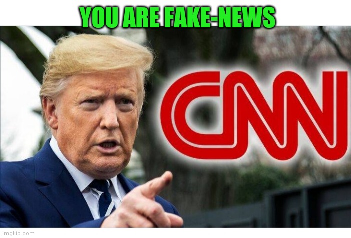 YOU ARE FAKE-NEWS | image tagged in fake news,cnn fake news,libtards | made w/ Imgflip meme maker