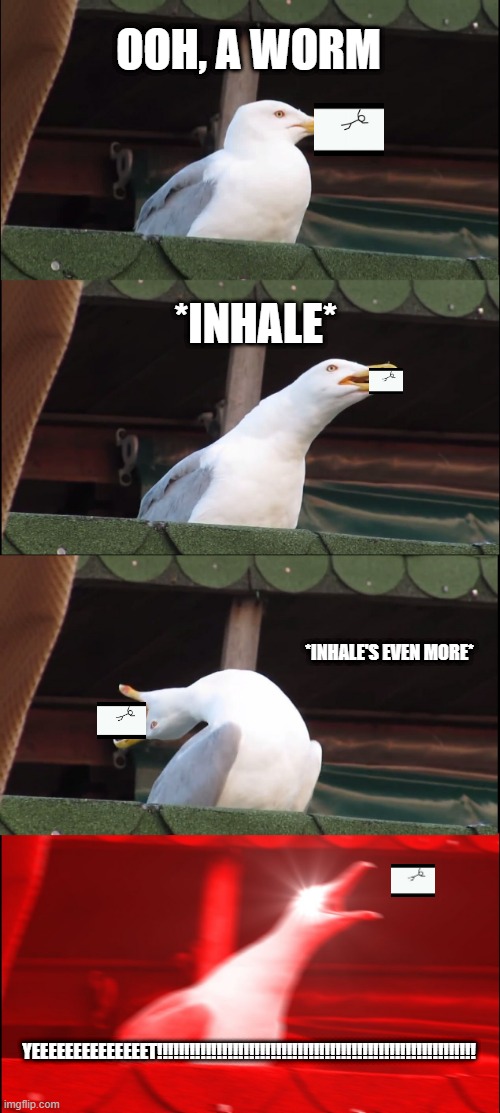 Inhaling Seagull | OOH, A WORM; *INHALE*; *INHALE'S EVEN MORE*; YEEEEEEEEEEEEEET!!!!!!!!!!!!!!!!!!!!!!!!!!!!!!!!!!!!!!!!!!!!!!!!!!!!!!!!!!! | image tagged in memes,inhaling seagull | made w/ Imgflip meme maker