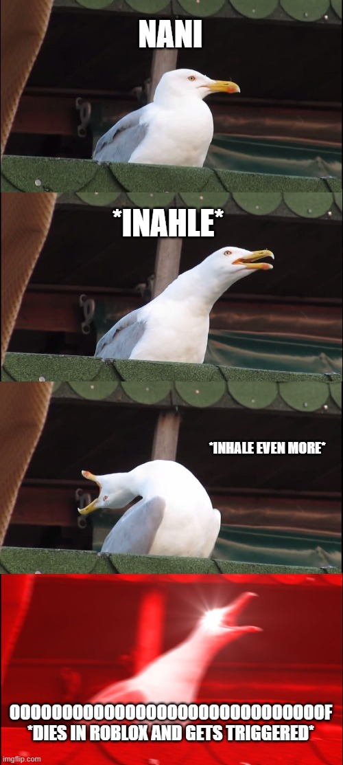 Inhaling Seagull Meme | NANI; *INAHLE*; *INHALE EVEN MORE*; OOOOOOOOOOOOOOOOOOOOOOOOOOOOOOF

*DIES IN ROBLOX AND GETS TRIGGERED* | image tagged in memes,inhaling seagull | made w/ Imgflip meme maker