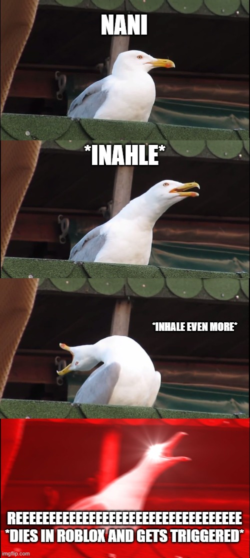 Inhaling Seagull | NANI; *INAHLE*; *INHALE EVEN MORE*; REEEEEEEEEEEEEEEEEEEEEEEEEEEEEEEEEE

*DIES IN ROBLOX AND GETS TRIGGERED* | image tagged in memes,inhaling seagull | made w/ Imgflip meme maker