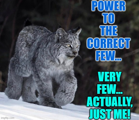 Power to the People! | POWER TO THE CORRECT FEW... VERY FEW... ACTUALLY, JUST ME! | image tagged in vince vance,cats,snow,gray,funny cat memes,furry | made w/ Imgflip meme maker