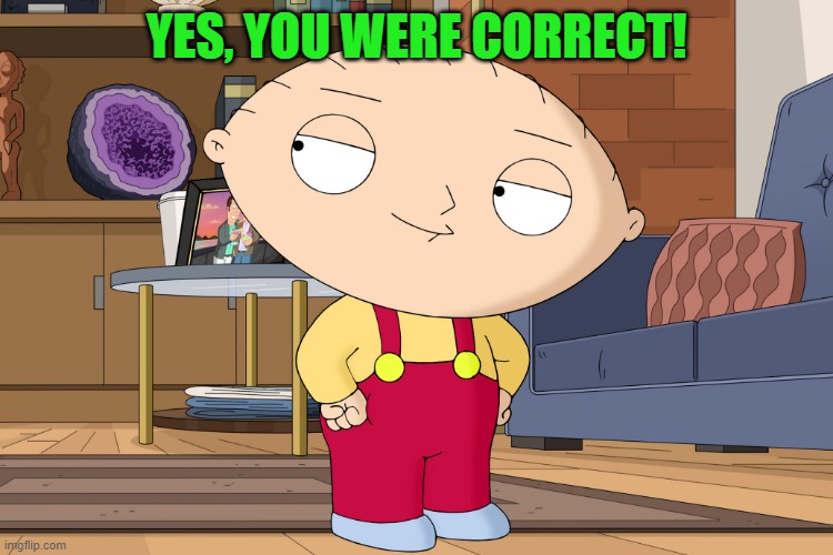 family guy | YES, YOU WERE CORRECT! | image tagged in family guy | made w/ Imgflip meme maker