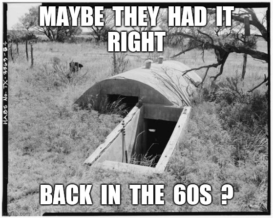 Bomb shelter | MAYBE  THEY  HAD  IT
RIGHT; BACK  IN  THE  60S  ? | image tagged in bomb shelter | made w/ Imgflip meme maker