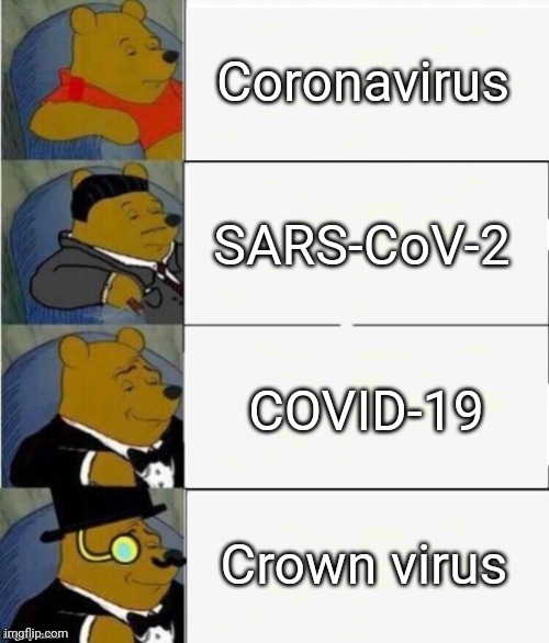 "Crown Virus" | Coronavirus; SARS-CoV-2; COVID-19; Crown virus | image tagged in tuxedo winnie the pooh 4 panel | made w/ Imgflip meme maker