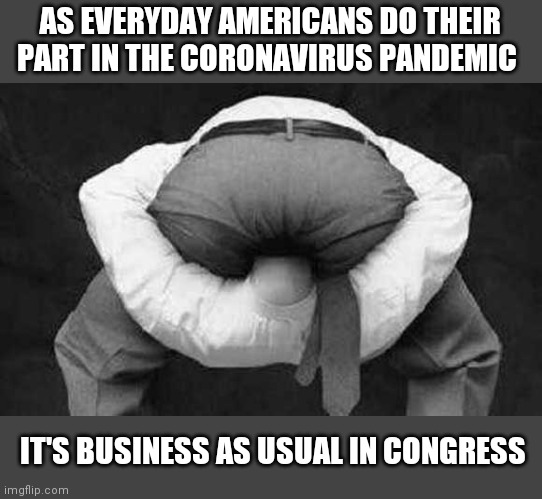 Head up ass  | AS EVERYDAY AMERICANS DO THEIR PART IN THE CORONAVIRUS PANDEMIC; IT'S BUSINESS AS USUAL IN CONGRESS | image tagged in head up ass | made w/ Imgflip meme maker