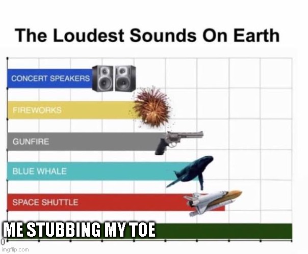 The Loudest Sounds on Earth | ME STUBBING MY TOE | image tagged in the loudest sounds on earth | made w/ Imgflip meme maker