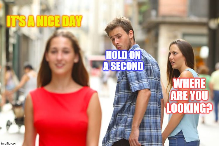 Distracted Boyfriend Meme | IT'S A NICE DAY; HOLD ON A SECOND; WHERE ARE YOU LOOKING? | image tagged in memes,distracted boyfriend | made w/ Imgflip meme maker