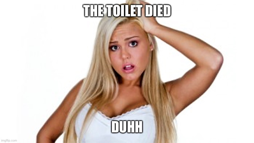 THE TOILET DIED DUHH | made w/ Imgflip meme maker
