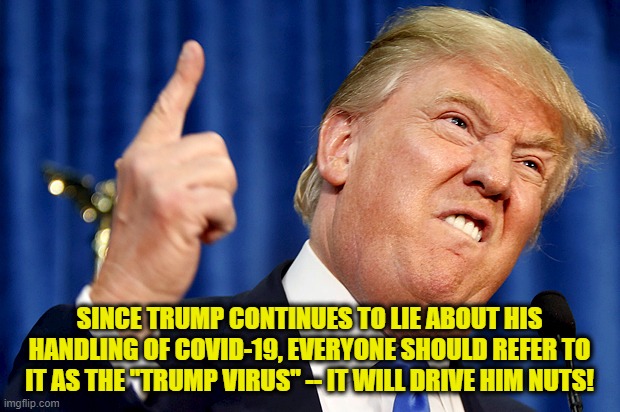 Donald Trump | SINCE TRUMP CONTINUES TO LIE ABOUT HIS HANDLING OF COVID-19, EVERYONE SHOULD REFER TO IT AS THE "TRUMP VIRUS" -- IT WILL DRIVE HIM NUTS! | image tagged in donald trump | made w/ Imgflip meme maker