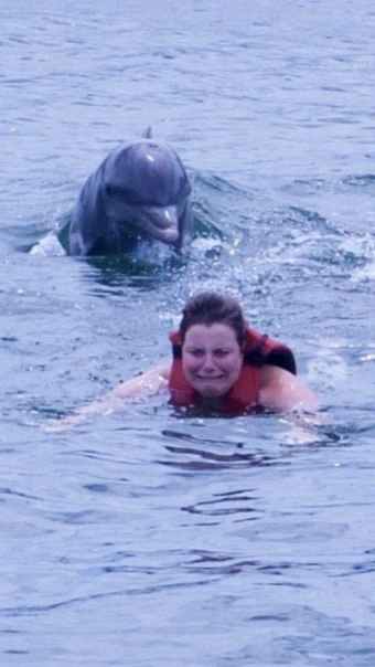 Dolphin Chases Woman Blank Meme Template