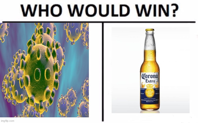 Who Would Win? | image tagged in memes,who would win | made w/ Imgflip meme maker