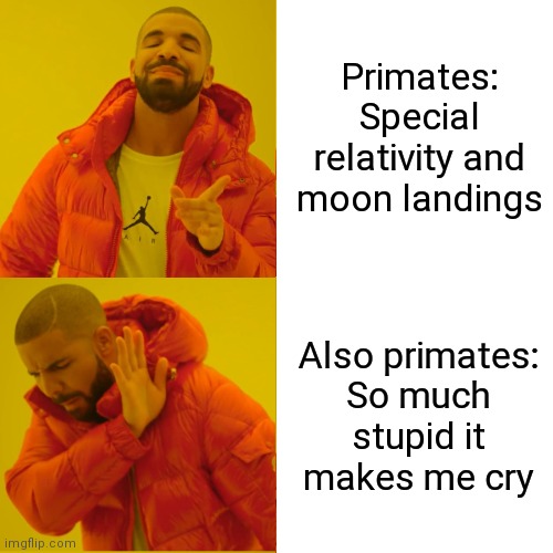Drake Hotline Bling Meme | Primates: Special relativity and moon landings Also primates:
So much
stupid it
makes me cry | image tagged in memes,drake hotline bling | made w/ Imgflip meme maker