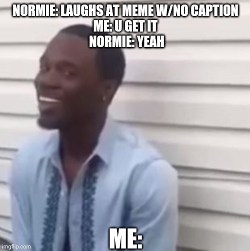 Normies be like | image tagged in funny | made w/ Imgflip meme maker